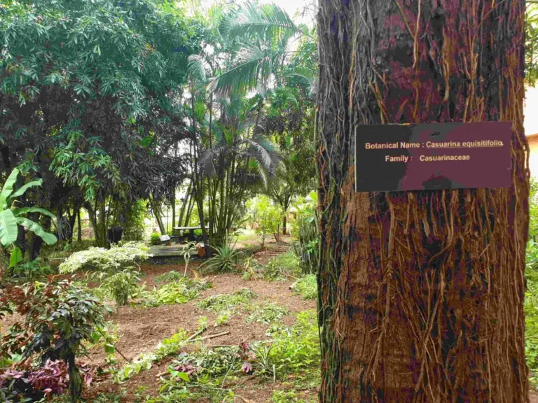 7.1.5 Botanical Garden-View2
(Latitude 15: 17: 24.9741500000018...)
(Longitude 73: 58: 49.1848599999794...)
