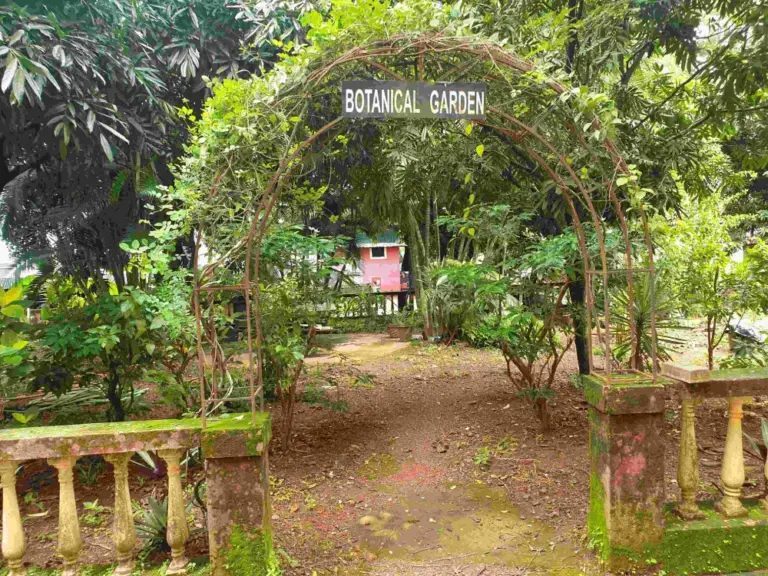 7.1.5 Botanical Garden-View3
(Latitude 15: 17: 25.4489099999992...)
(Longitude 73: 58: 49.5838399999773...)