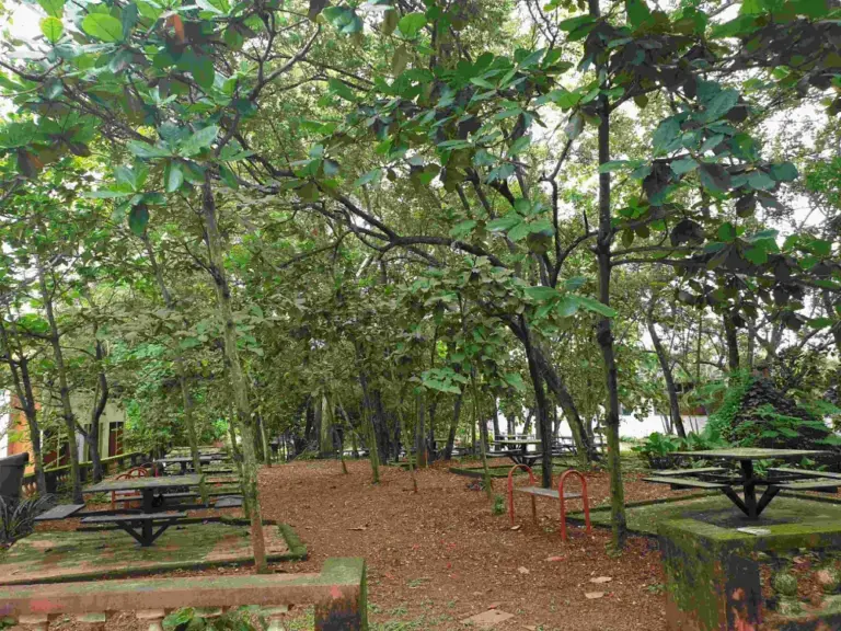 7.1.5 Landscapping-View2
(Latitude 15: 17: 26.2066300000005...
(Longitude 73: 58: 51.3885800000281...)